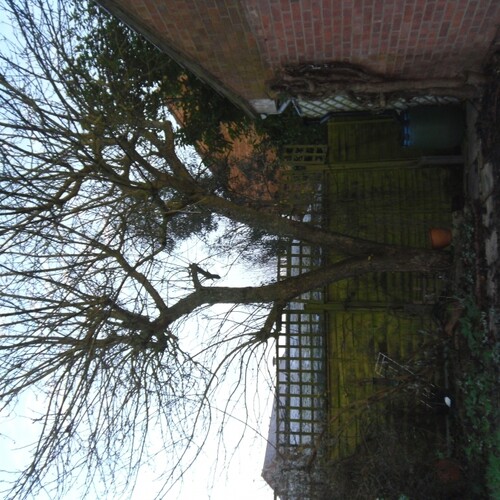 Untitled image