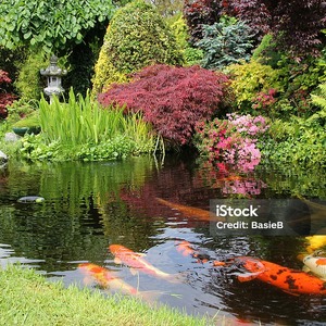 Untitled image
