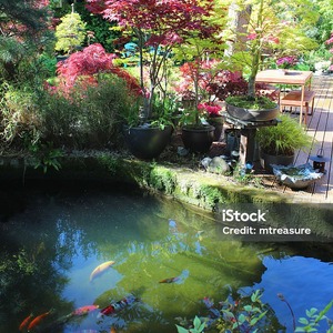 Untitled image