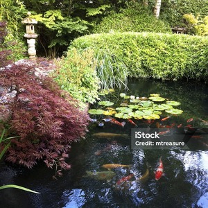 Untitled image