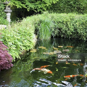 Untitled image