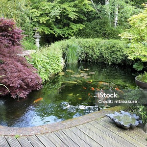 Untitled image