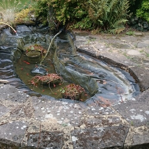 Untitled image