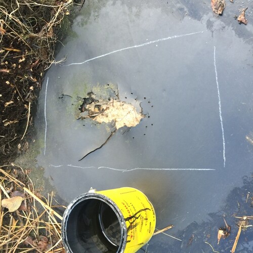Untitled image