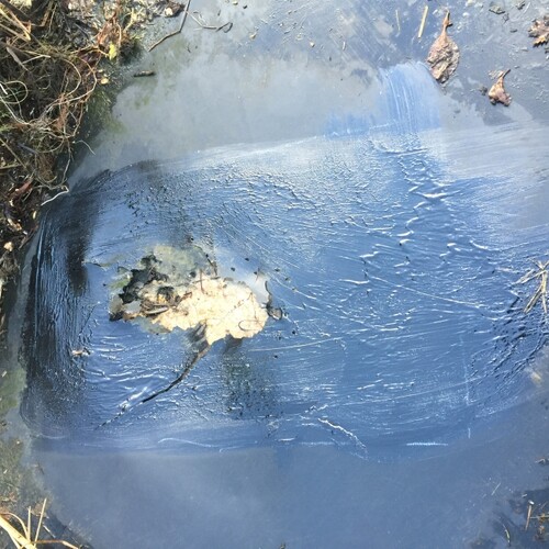 Untitled image