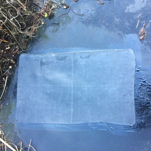 Untitled image