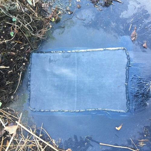 Untitled image