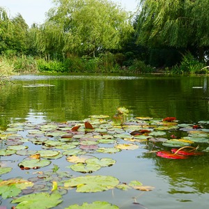 Untitled image