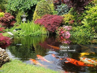 Untitled image