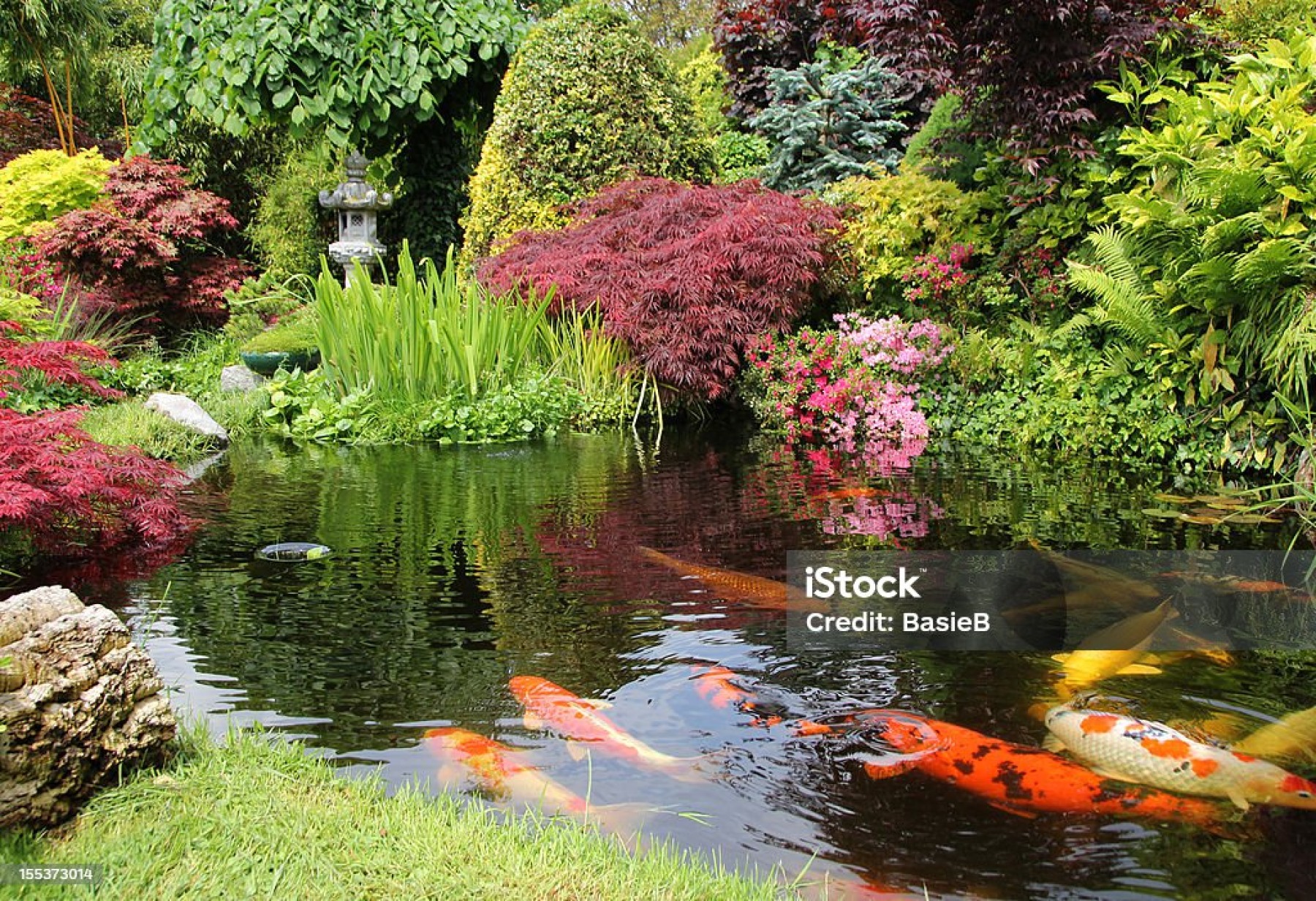 Untitled image