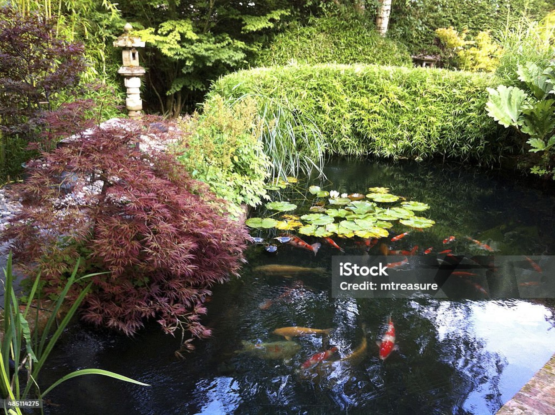 Untitled image