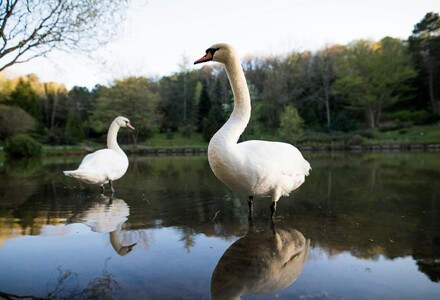 Untitled image