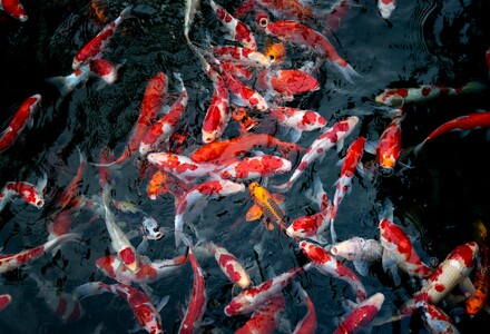 Untitled image
