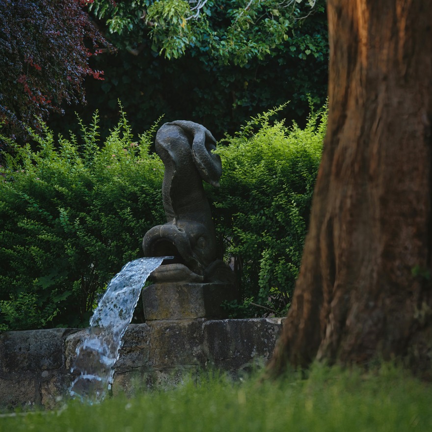 Untitled image