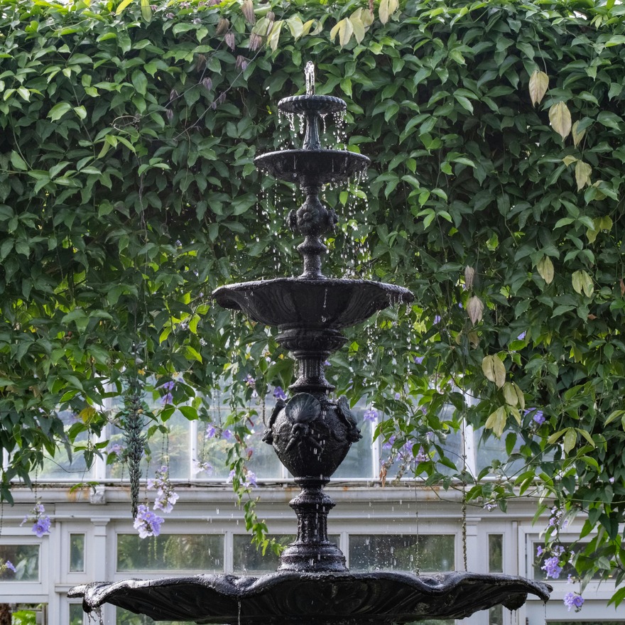 Untitled image