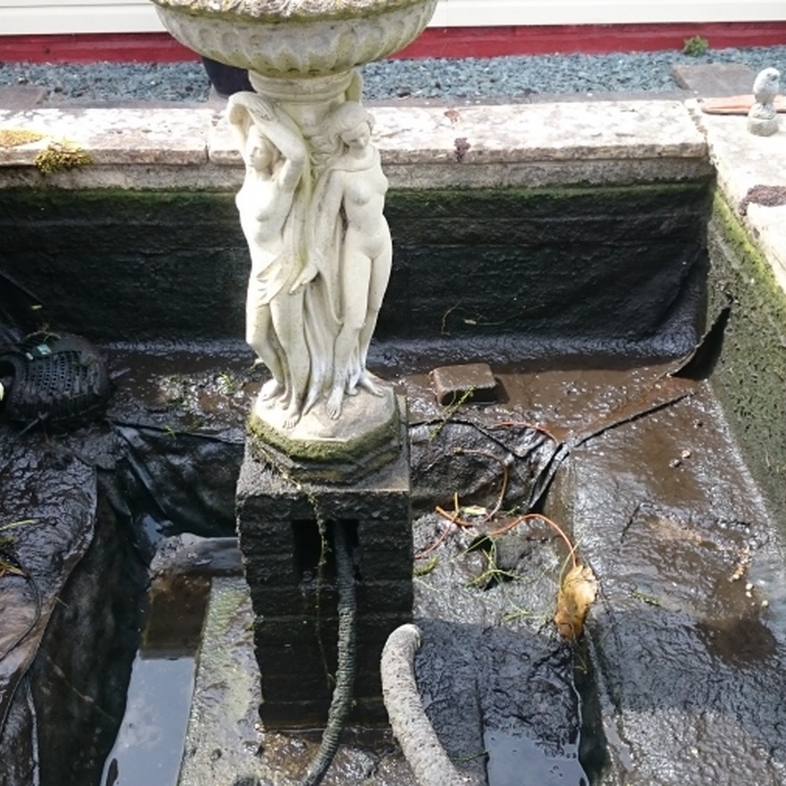 Untitled image